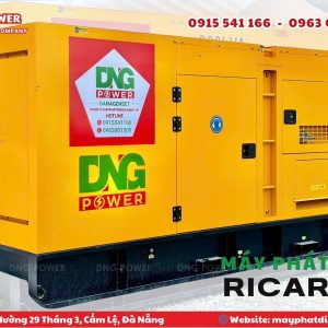 Máy phát điện DNG Ricardo